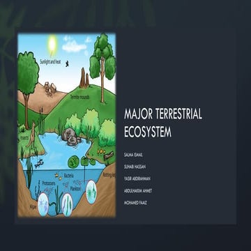 HhhhhhhhhhMAJOR TRESTERIAL ECOSYSTEM.pdf