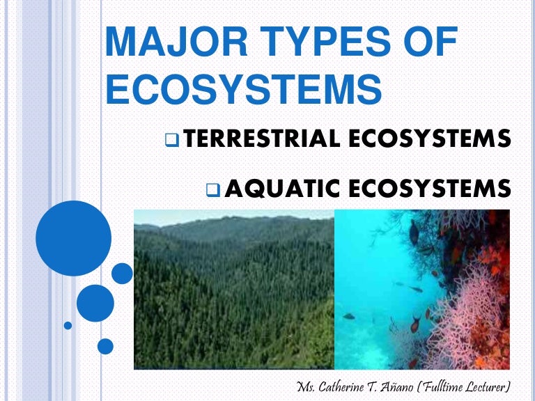 4 Types Of Ecosystems 4 Types Of Ecosystems