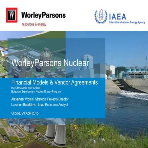 IAEA Mak2006: Financial Models & Vendor Agreements
