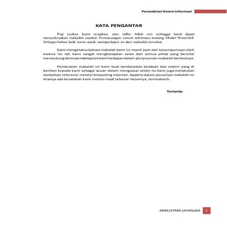 Waterfall Model (ANSI)