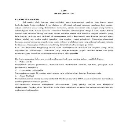 Makalah makromolekul