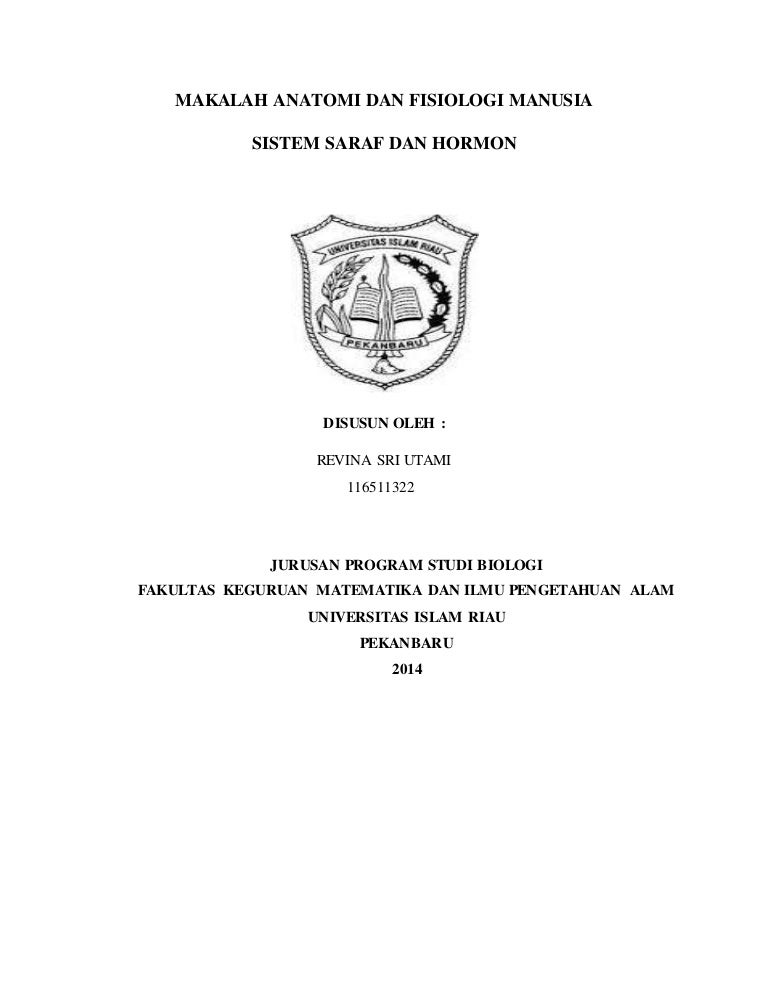 Sistem Saraf Dan Hormon Sistem Saraf Dan Hormon
