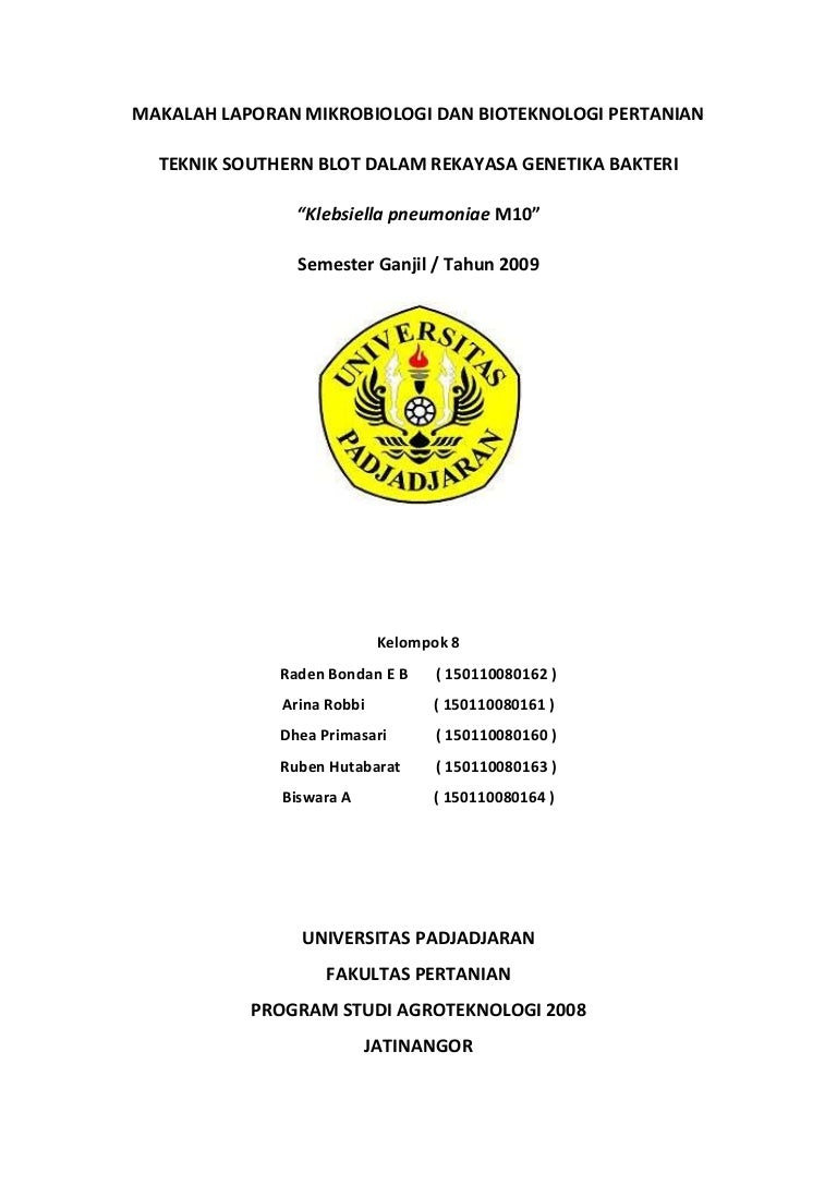Contoh Makalah Analisis Film Dikdasmen Contoh Makalah Analisis Film Dikdasmen