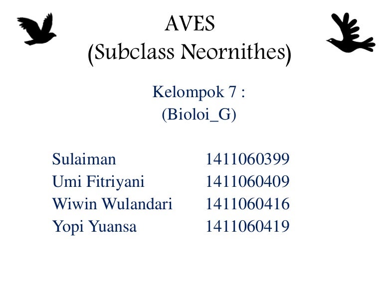 Taksonomi Vetebtara Ordo Aves