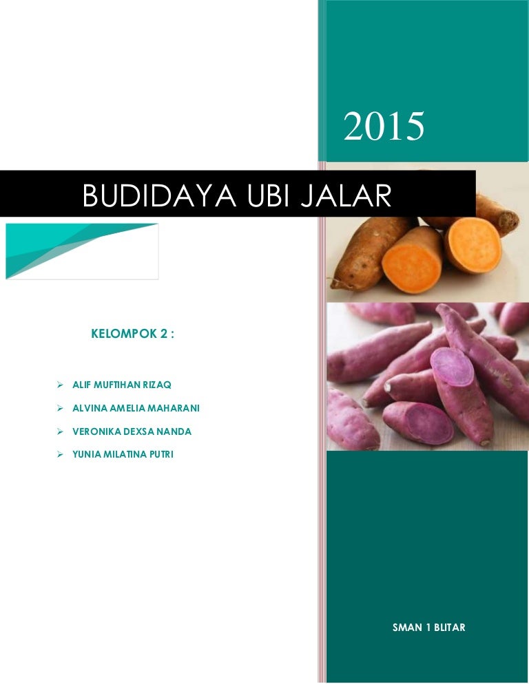 Makalah Ubi Jalar