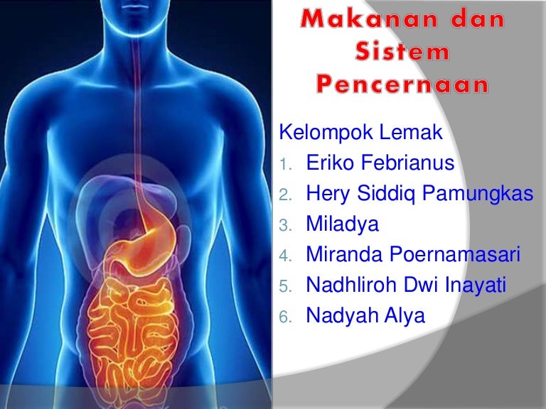 Makanan Dan Sistem Pencernaan Xi Ipa