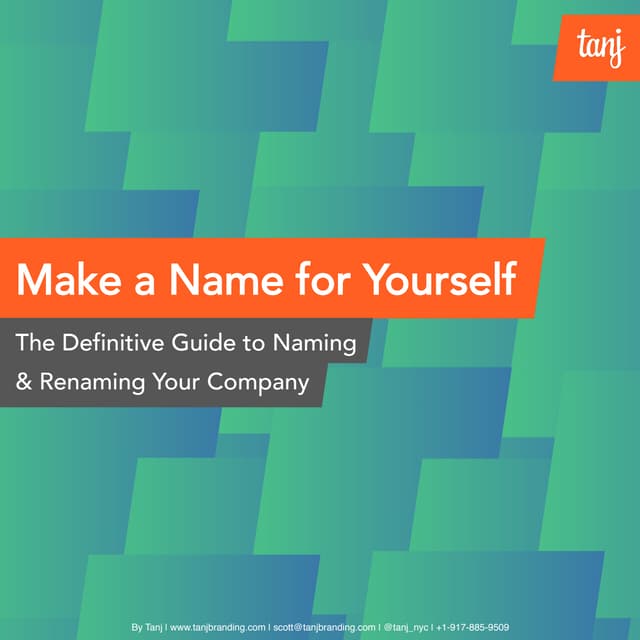 Make a Naming for Yourself: The Definitive Guide to Naming & Renaming Your Co...