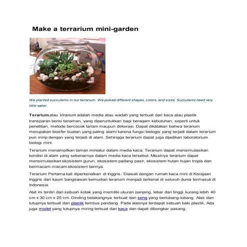 Make a terrarium mini