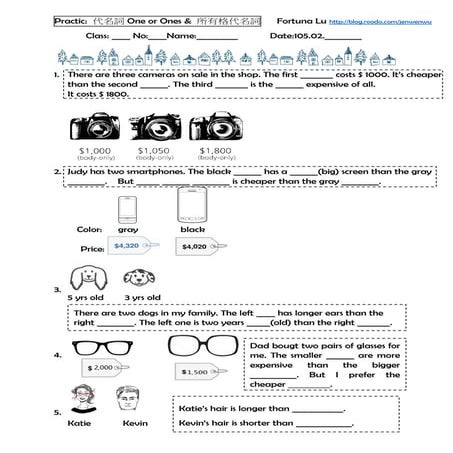 Pronouns: one or ones