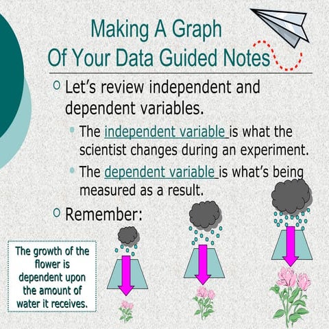 Let's Make a Bar Graph! 