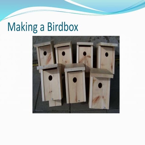 Making a birdbox | PPTX