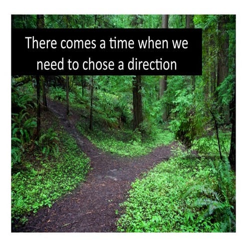 Making A Career Decision. Do you want to be a Linchpin ?