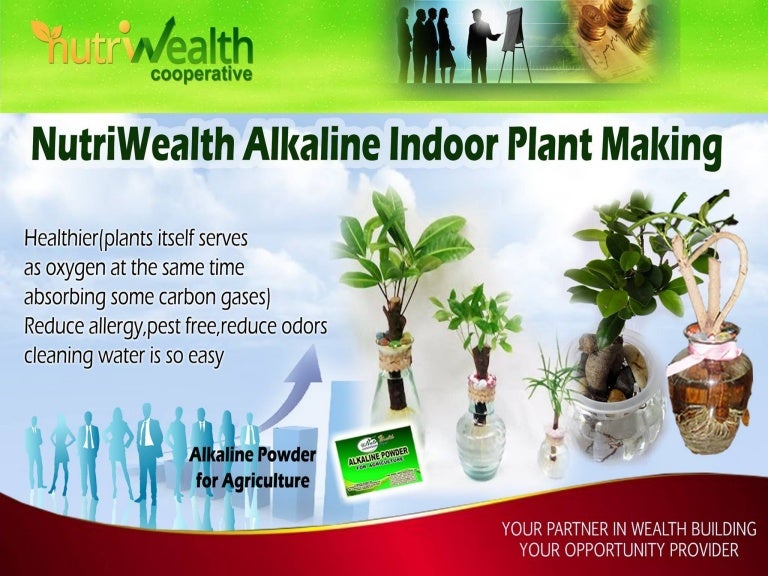 Making an Alkaline Water Based Indoor Plants