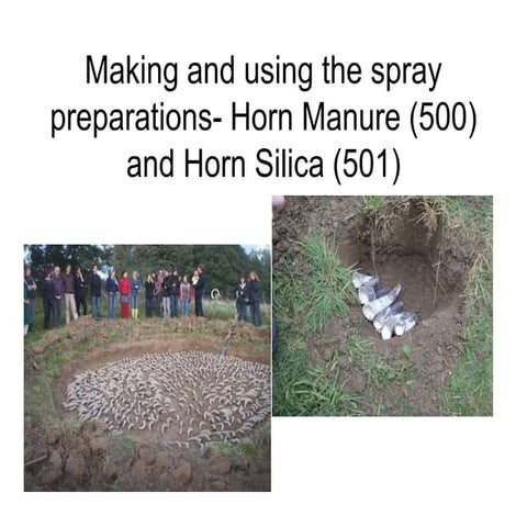 Making and using the spray preps | PPTX