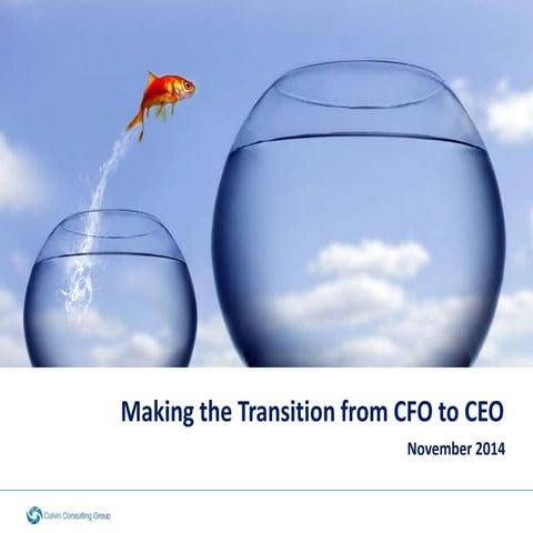 Making the transition from cfo to ceo