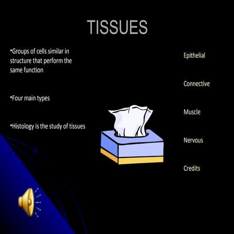 Makinson Tissues