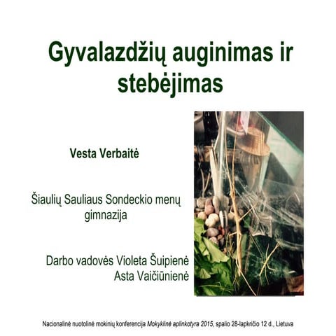 Makonf2015 gyvalazdes | PPT