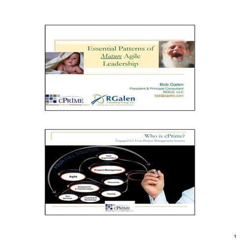 Essential Patterns for Agile Leaders