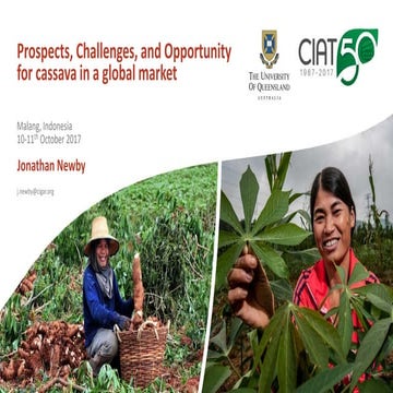 Indonesia: Prospect, challenges and opportunities for cassava in a global market