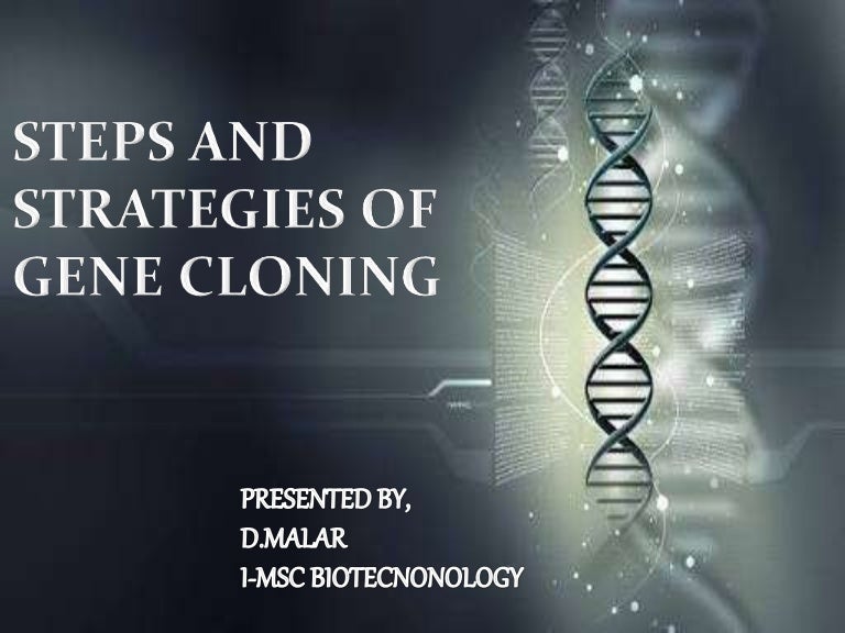 Steps and strategies of gene cloning