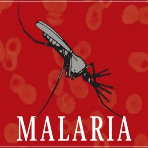 Malaria