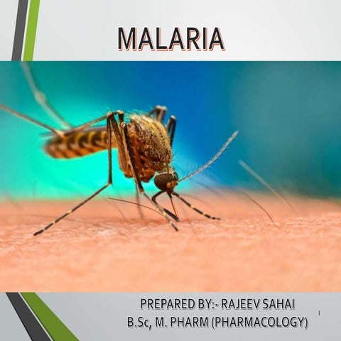 Malaria