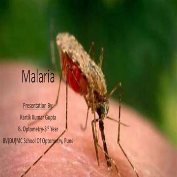 Malaria