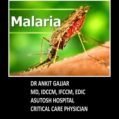 MALARIA.pptx
