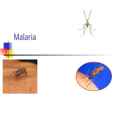 Malaria sign symptoms prevention treatment