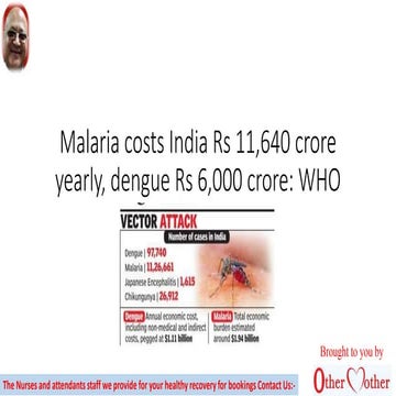 Malaria costs india rs 11640 crore yearly dengue rs 6000 crore who