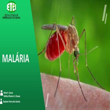 Malaria | PPTX
