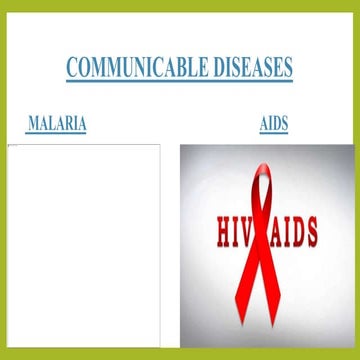 MALARIA AND AIDS.pptx