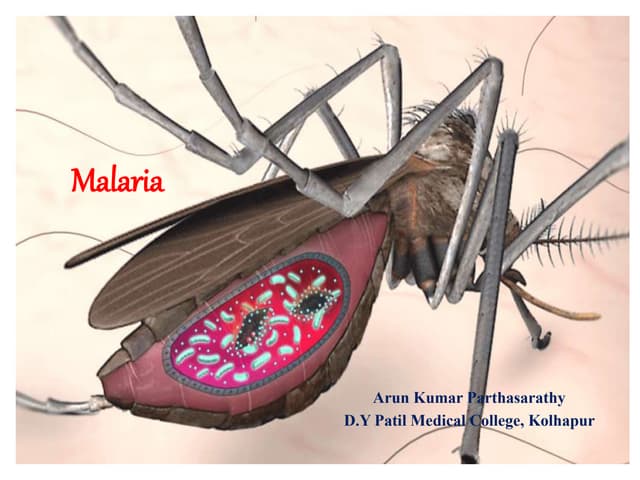 Malaria lab diagnosis