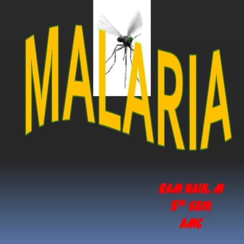 Malaria main