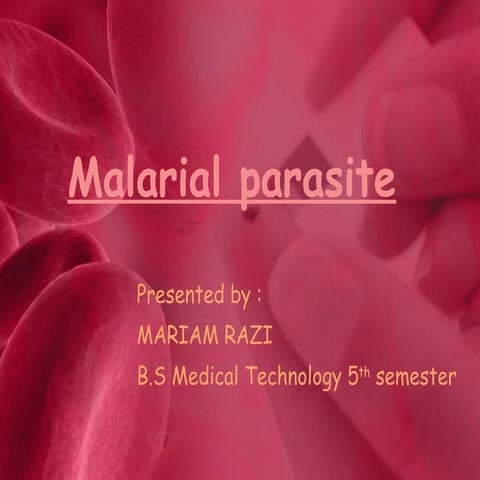 Malaria  Parasite