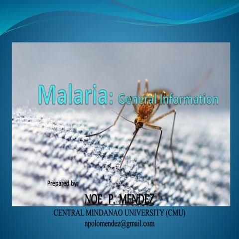 Malaria ppt
