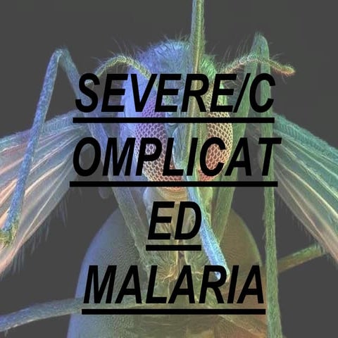 Malaria 