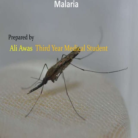 Malaria