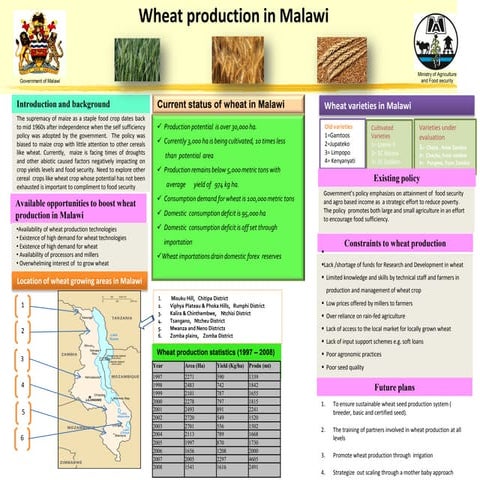 Wheat production in Malawi