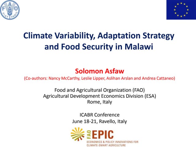 Climate Variability, Adaptation Strategy and Food Security in Malawi