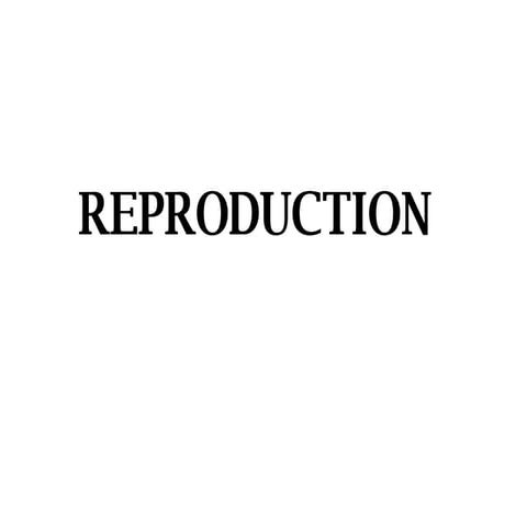 Male Reproductive system