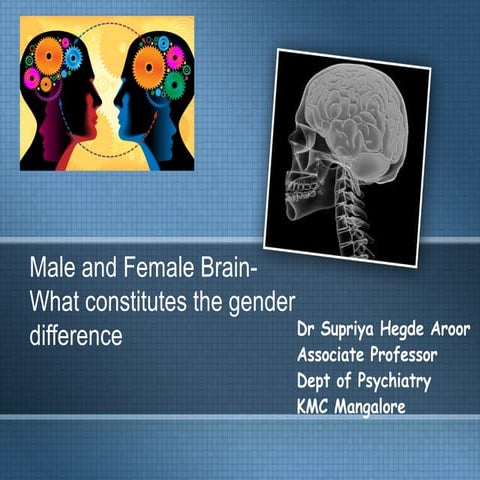 Male and female brain  what constitutes the gender