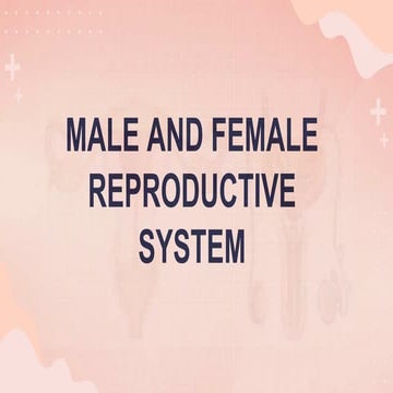 MALE AND FEMALE REPRODUCTIVE SYSTEM.pptx