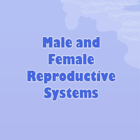 Male and Female Reproductive Systems