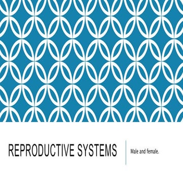 Male and female reproductive systems