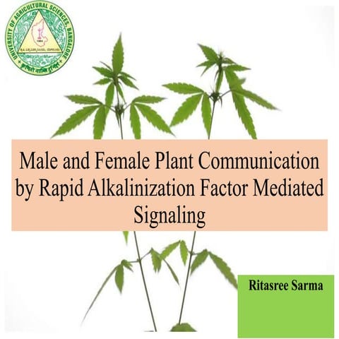 Male female plant communication by ralf mediated signaling final 11