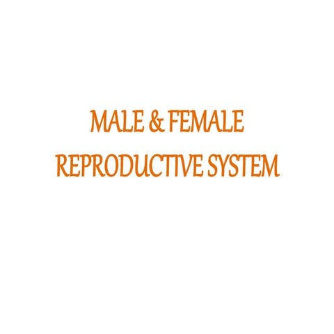 Male & female reproductive system 