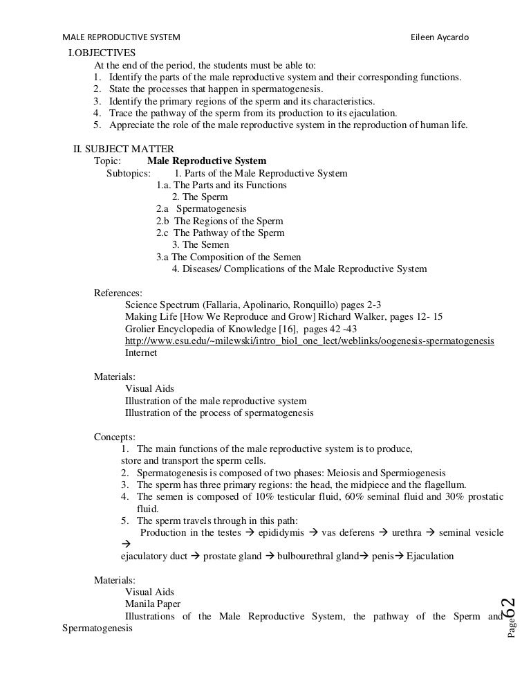 Lesson Plan On The Male Reproductive System