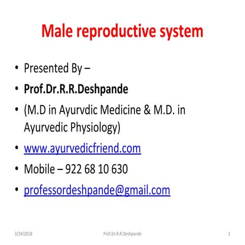 Male reproductive system  