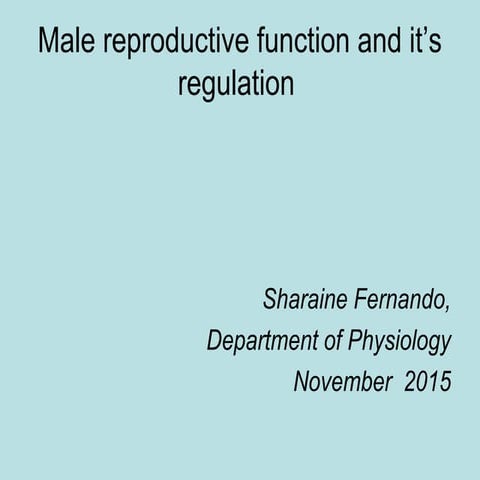 Male reproductive system and its regulation